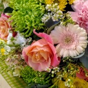 Spring Sorbet Hand-Tied